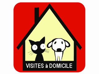 Visites à domicile