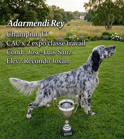 ADARMENDI REY